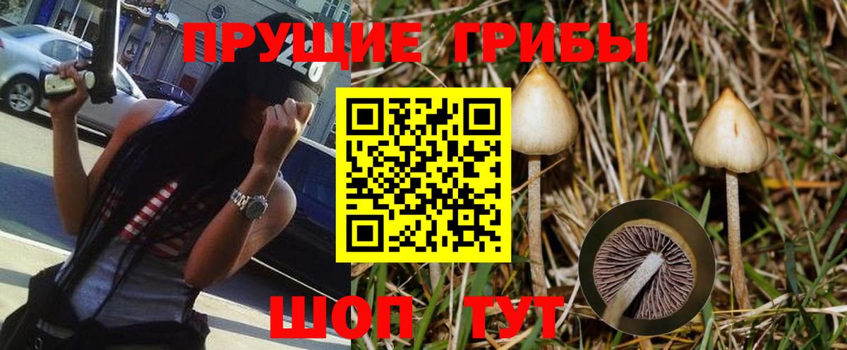 закладки  Псилоцибиновые грибы GOLDEN TEACHER  Вход с VPN  Усолье-Сибирское  Галлюциногенные грибы прущие грибы 